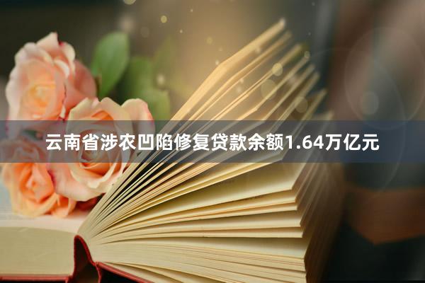 云南省涉农凹陷修复贷款余额1.64万亿元